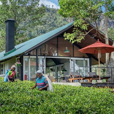 Madulkelle Tea And Eco Lodge Kandy Exterior foto