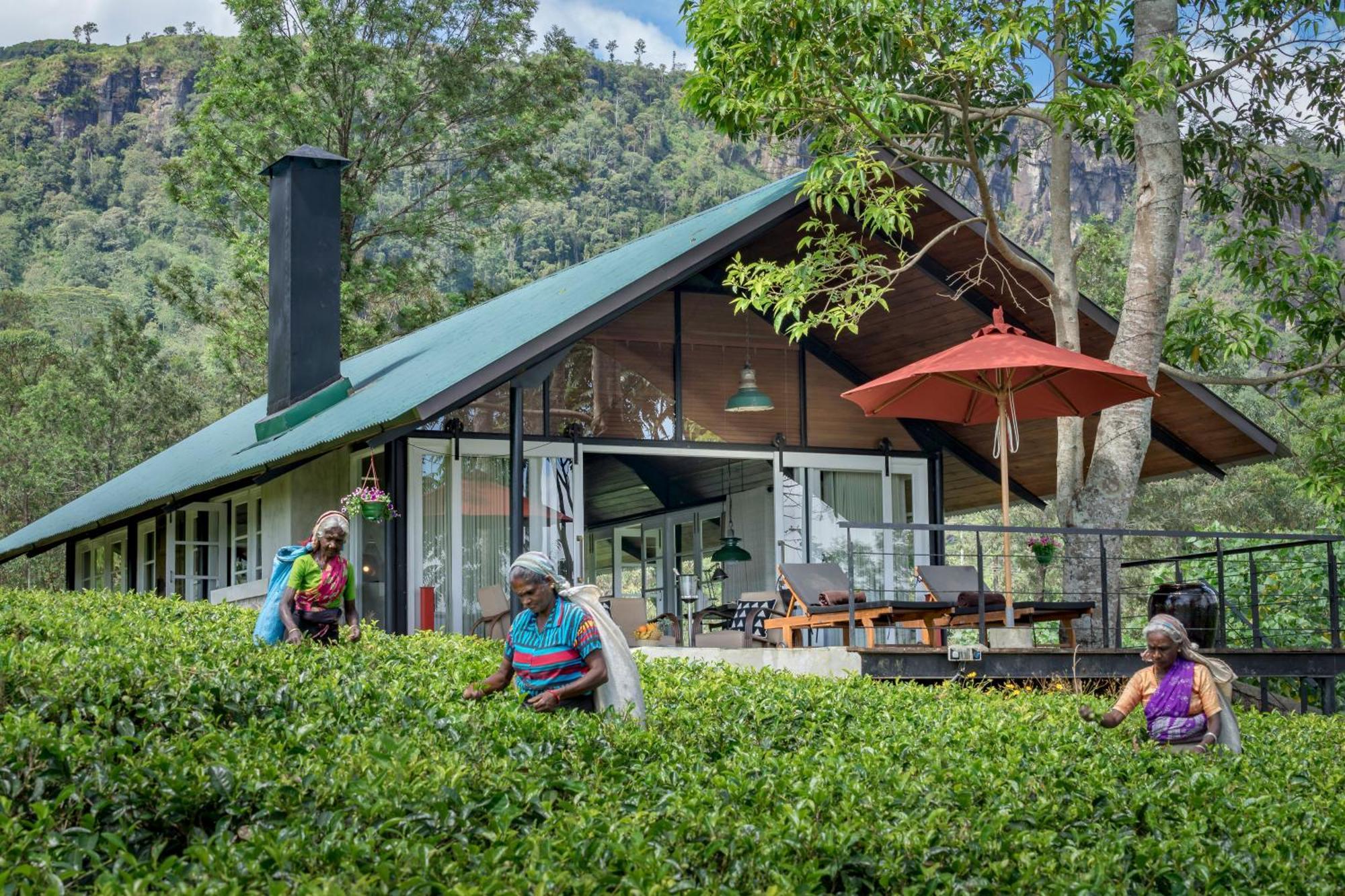 Madulkelle Tea And Eco Lodge Kandy Exterior foto